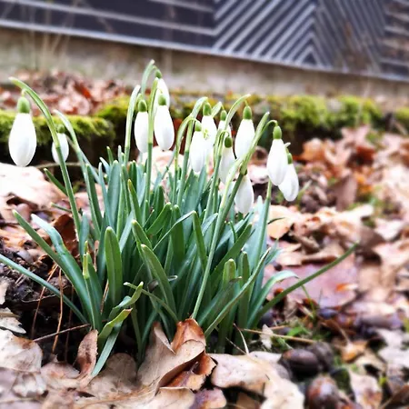 Feriehus 109 Libošovice